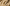 Promotion banner
