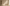 Promotion banner