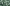Promotion banner