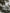 hetkinen-mood-pine-web_jpg