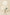 White flowers on a beige background with product description text.